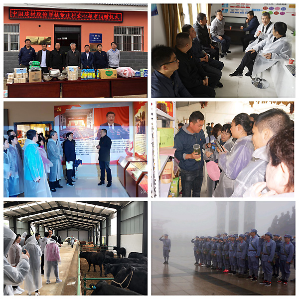 suncitygroup太阳集团(中国)-官方网站