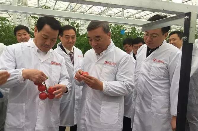 suncitygroup太阳集团(中国)-官方网站