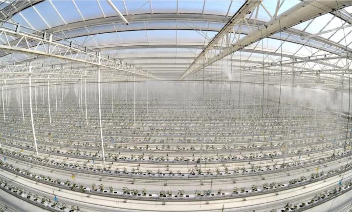 suncitygroup太阳集团(中国)-官方网站