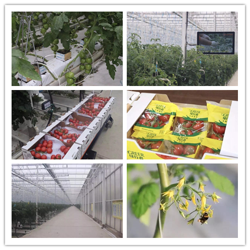 suncitygroup太阳集团(中国)-官方网站