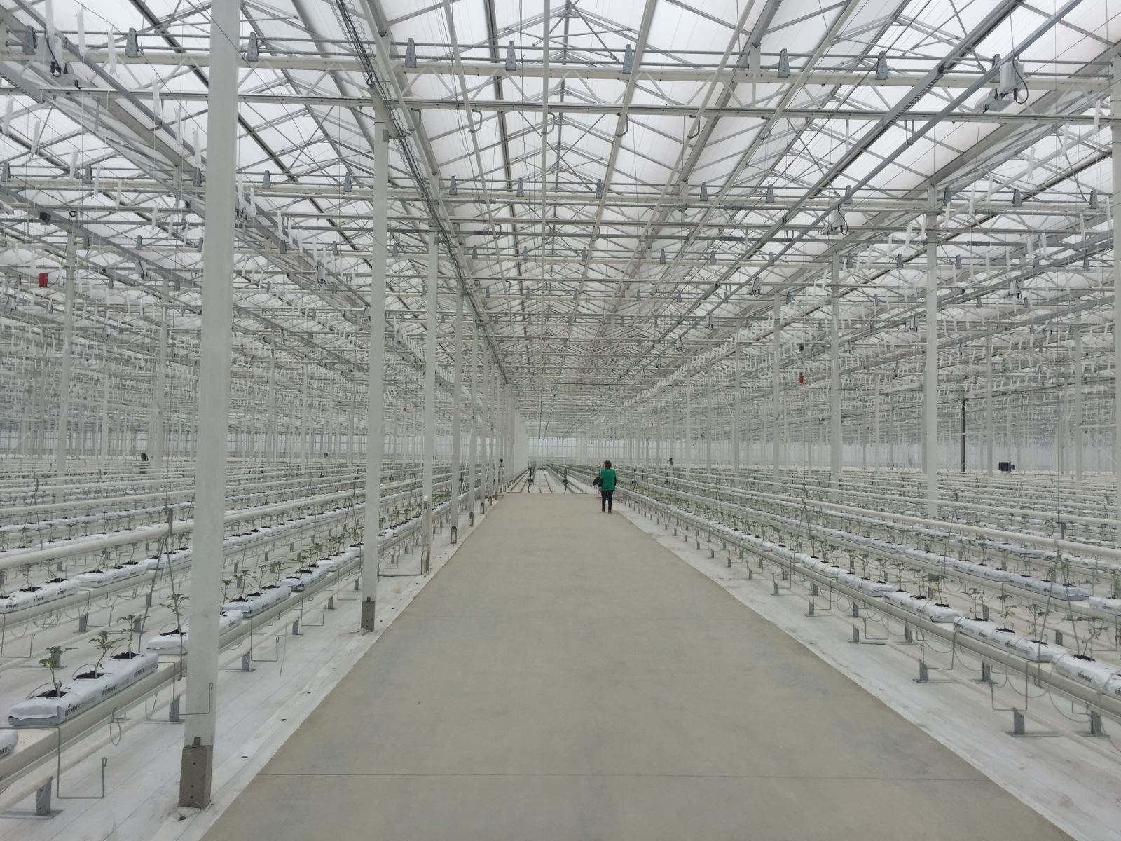 suncitygroup太阳集团(中国)-官方网站