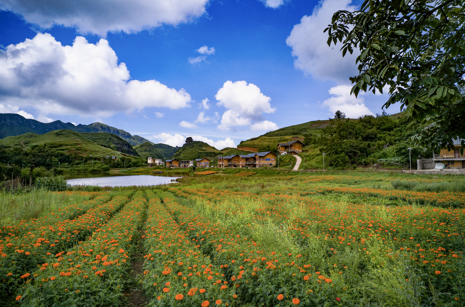 suncitygroup太阳集团(中国)-官方网站