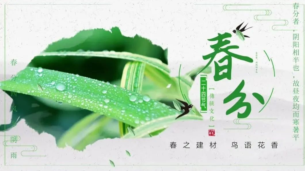 今日春分 | 春之建材，鸟语花香