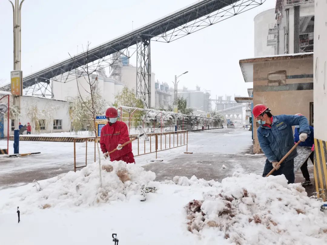 20210126100241917714