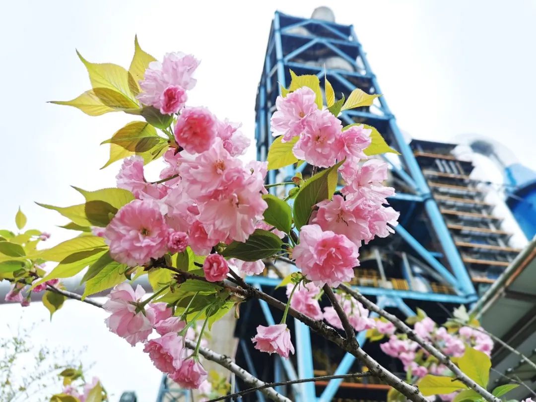 20210406105818168925