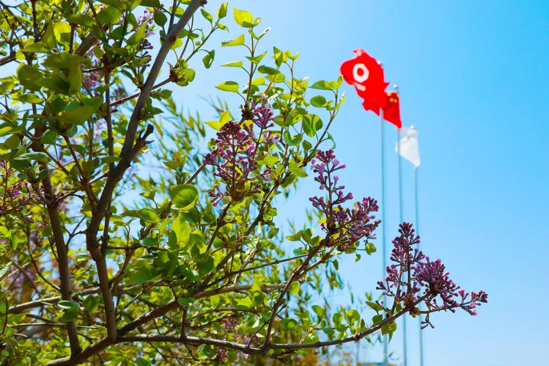 20210406105819201029