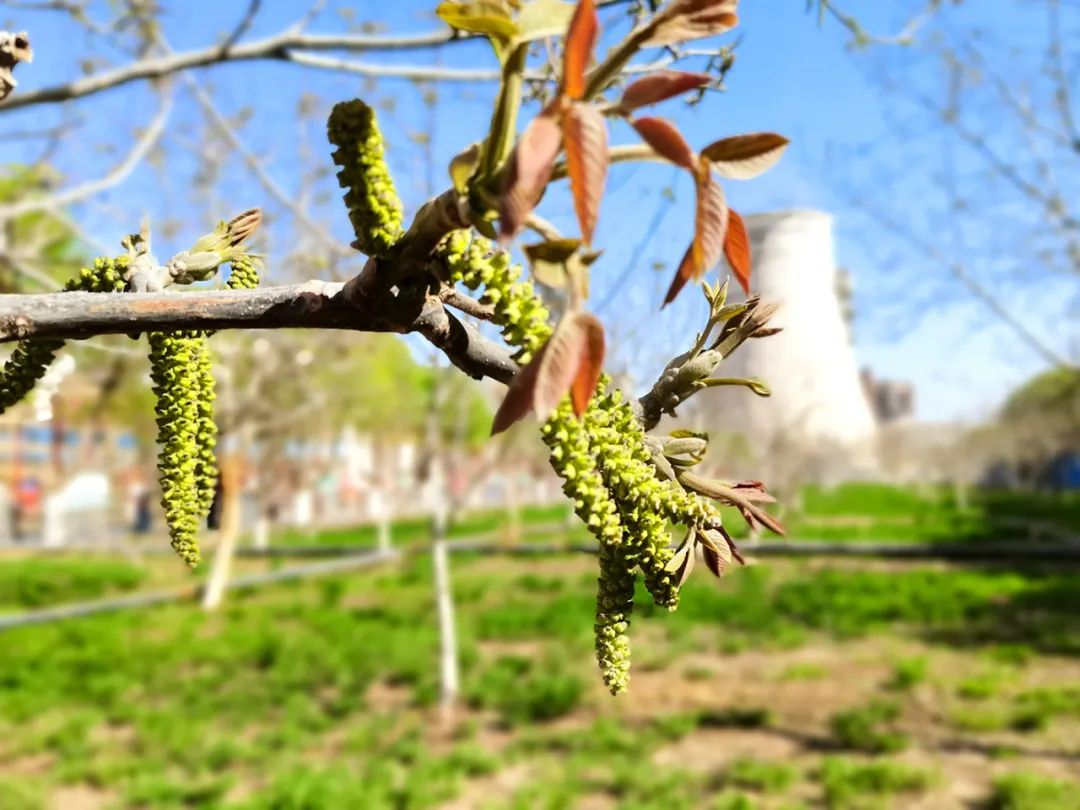 20210406105821813338