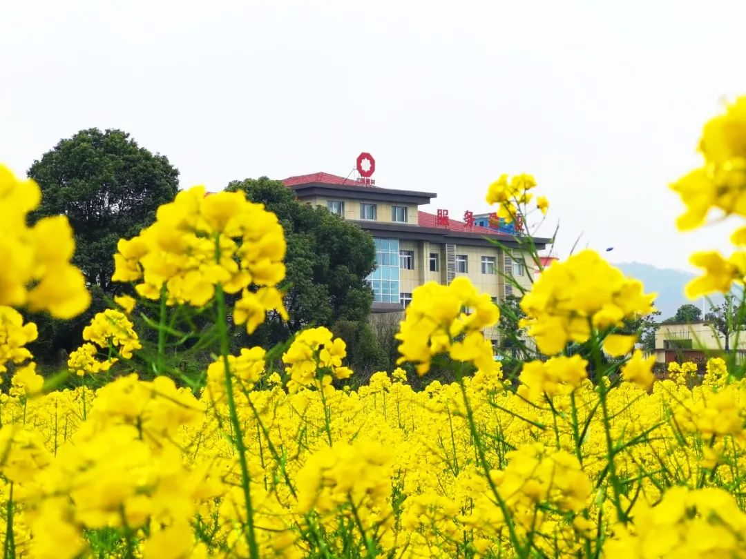 20210406105823185542