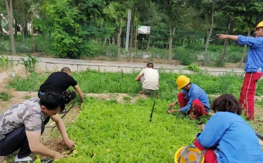 20210729114010247919