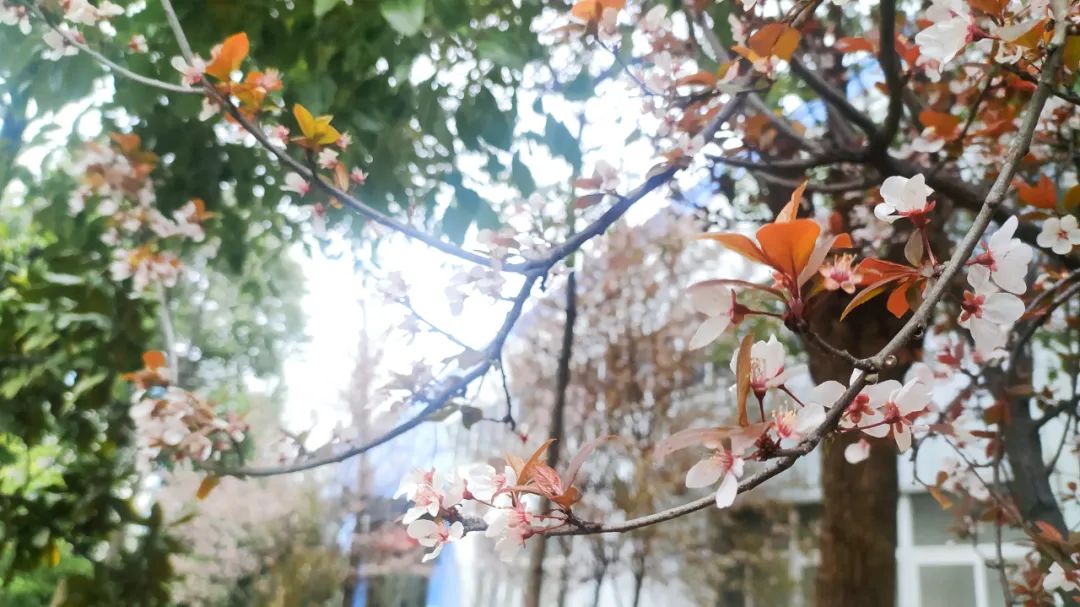 20220406161200668711