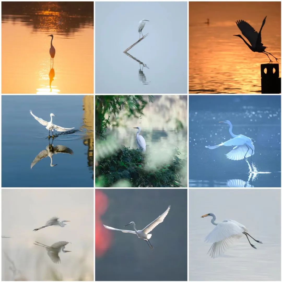 20230504114221387827