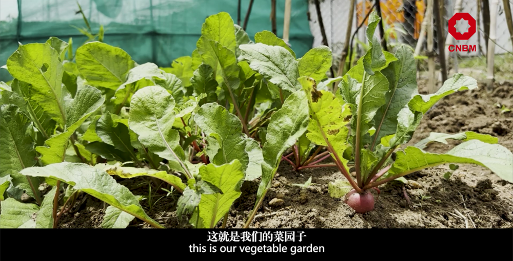 20230904102948984812