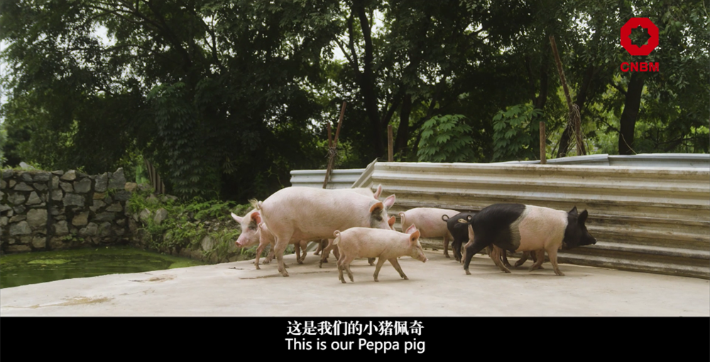 20230904102949514514