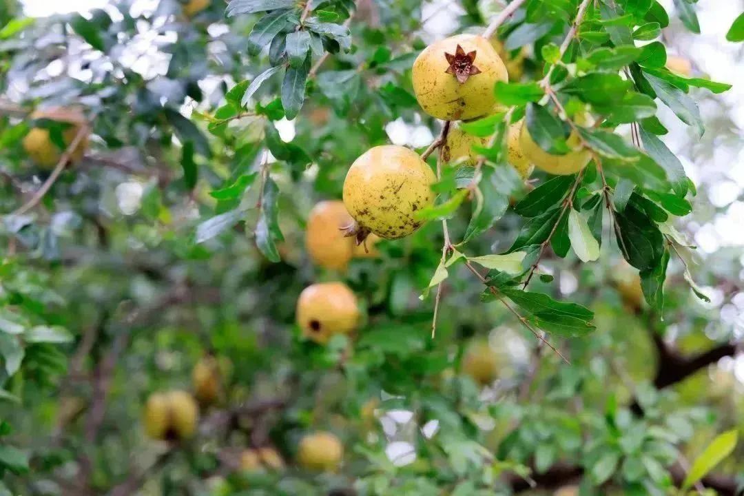 20231007102656797110