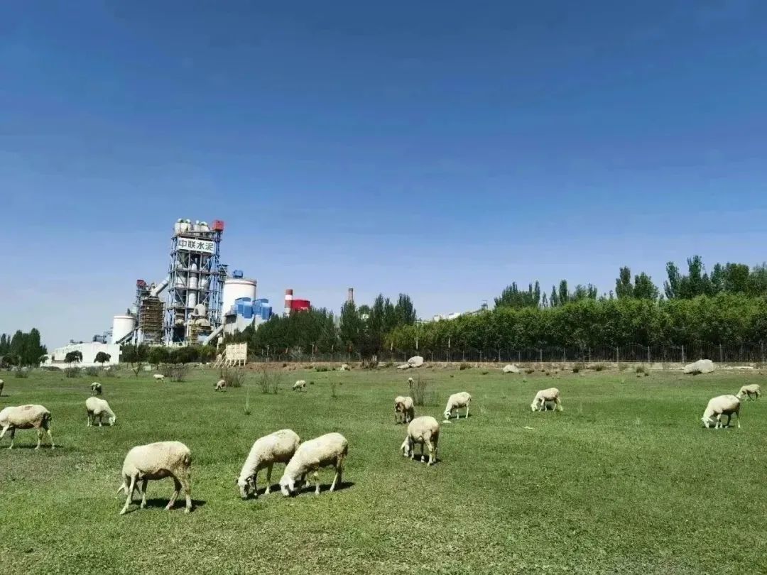 20231007102710464348