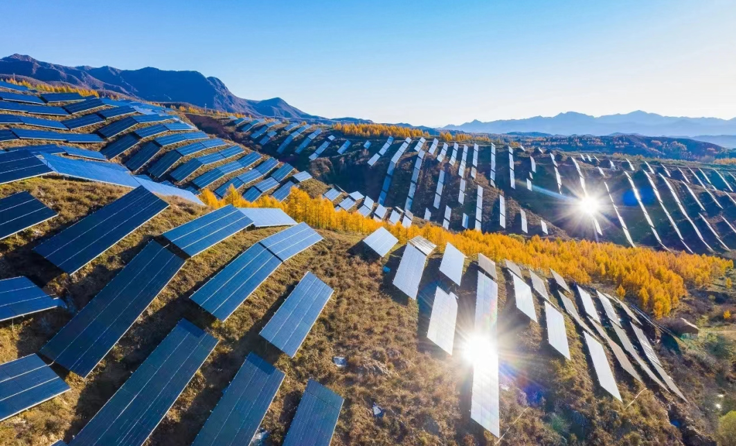 20240109103545738318