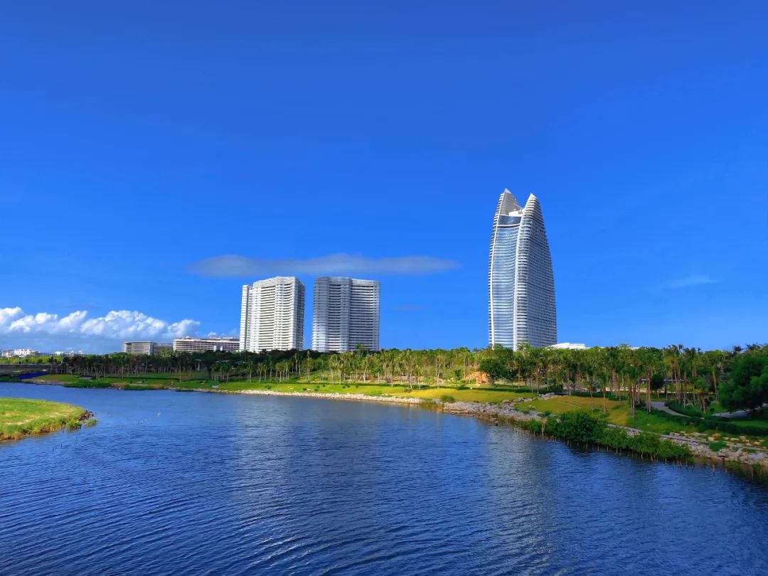 20240204184949958111