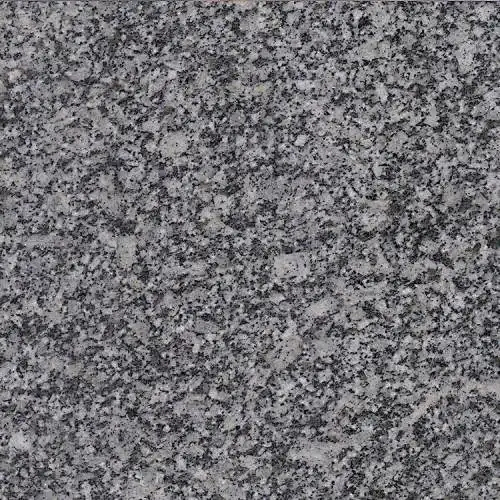 20241021172146857519