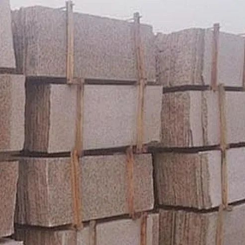 20241021172147671925