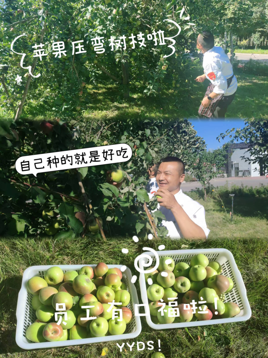 20241028114352322717