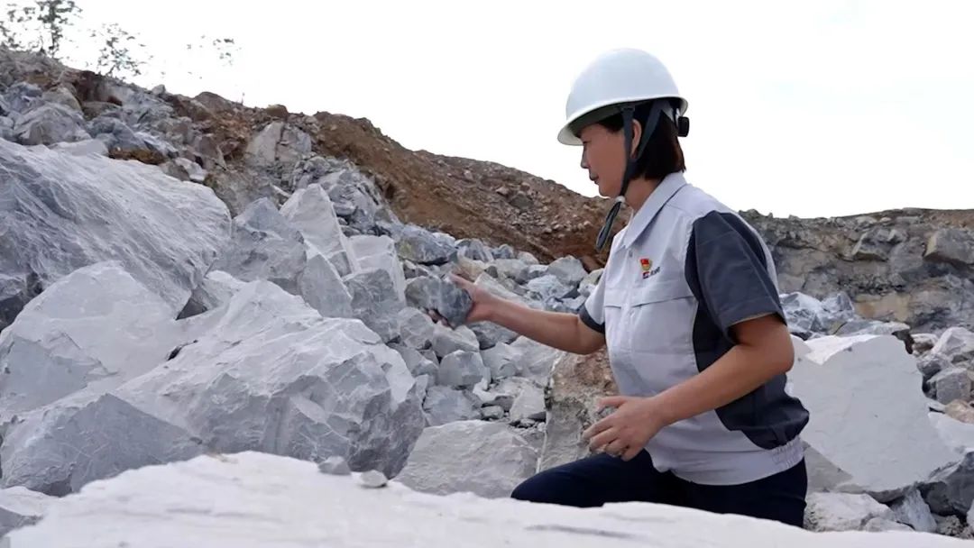 20250310111647133814